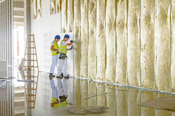 Types of Insulation We Offer in Hays, NC